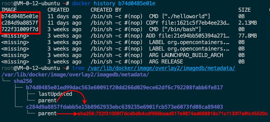 image-20221212204738764